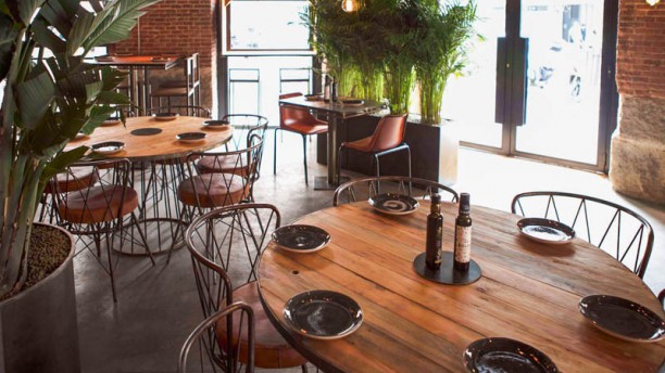 Galería de imágenes